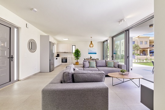 Beach and tree trunk