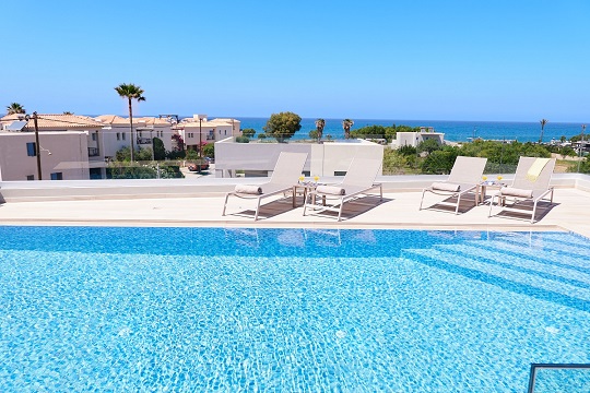 Beach and tree trunk